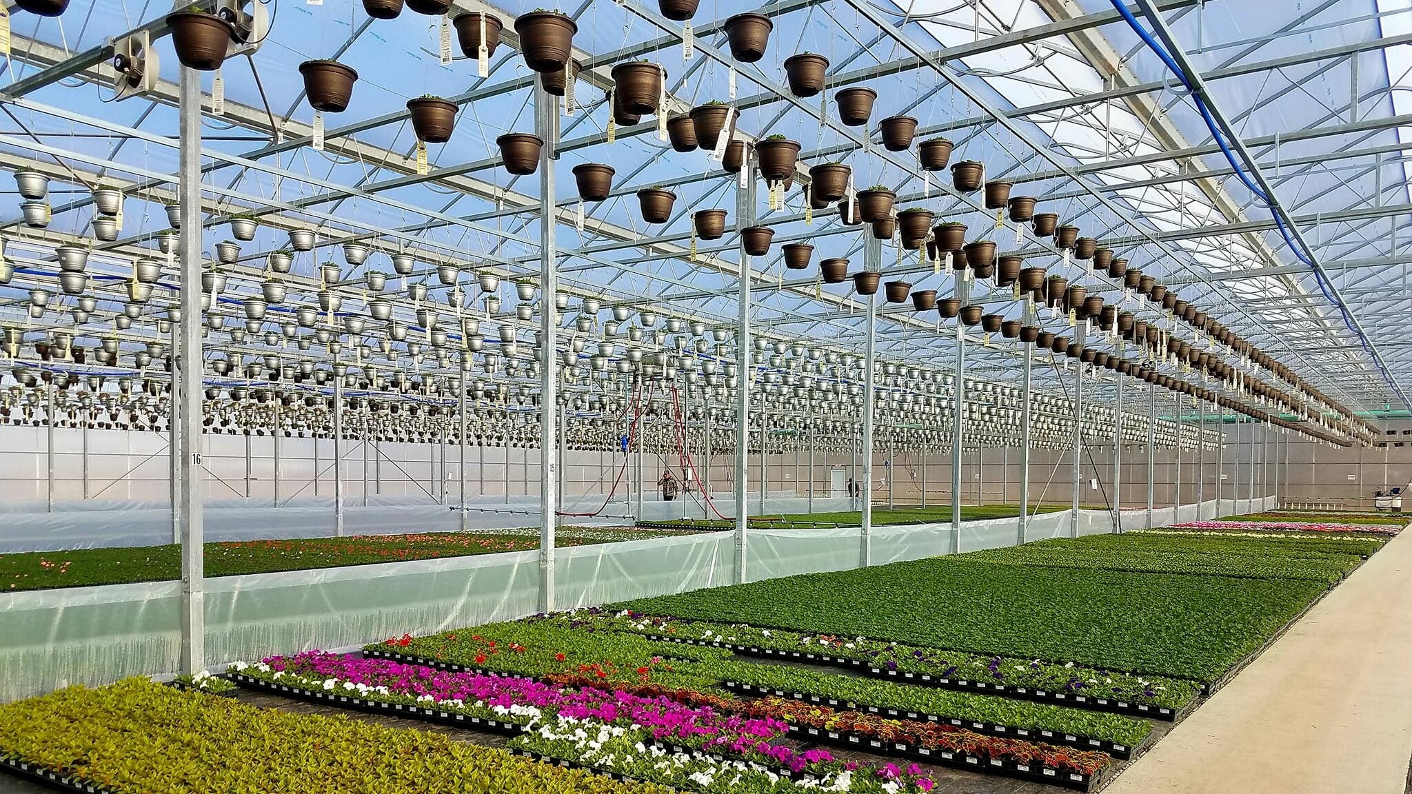 Blooms Greenhouse Expansion