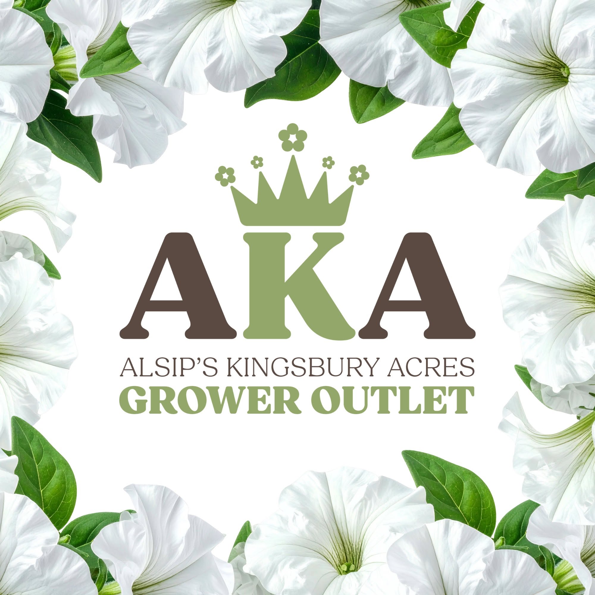 Blooms Greenhouse Grower Outlet to Rebrand as “Alsip’s Kingsbury Acres Grower Outlet”