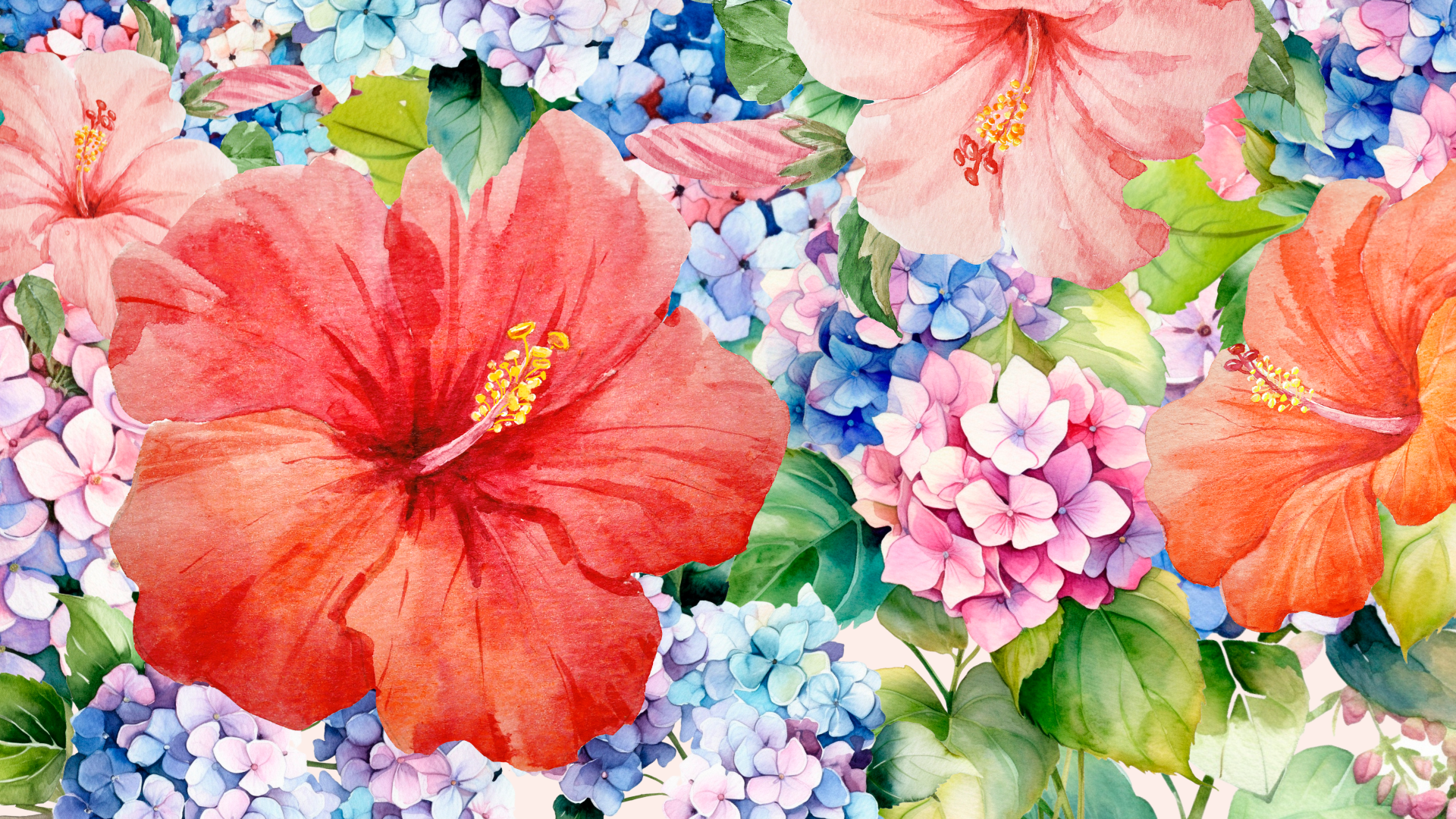 Hydrangea & Hibiscus Festival