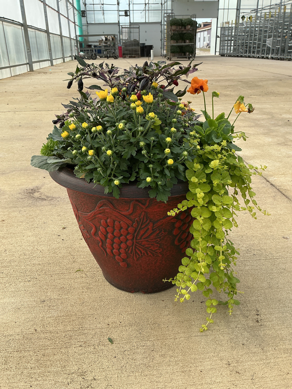 18.5" Planter Fall
