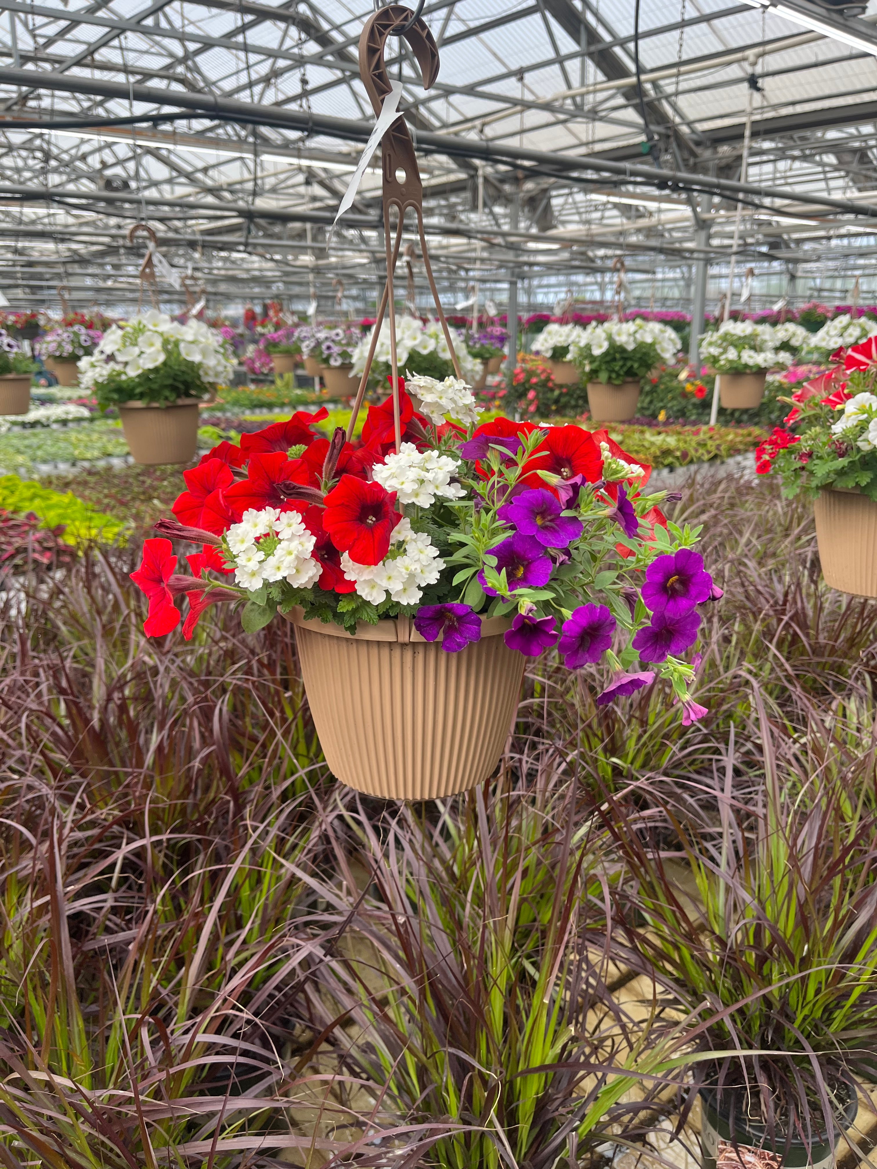 Confetti Mix Patriot - 8" Combination Hanging Basket