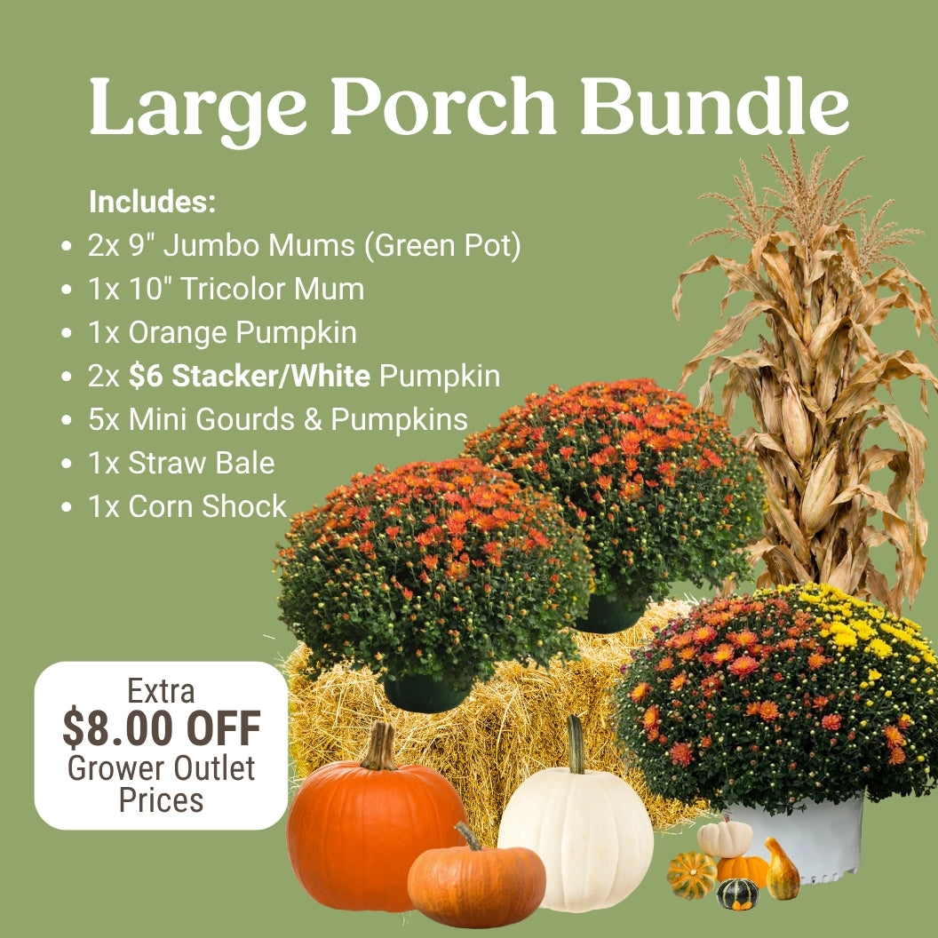 Large Fall Porch Bundle