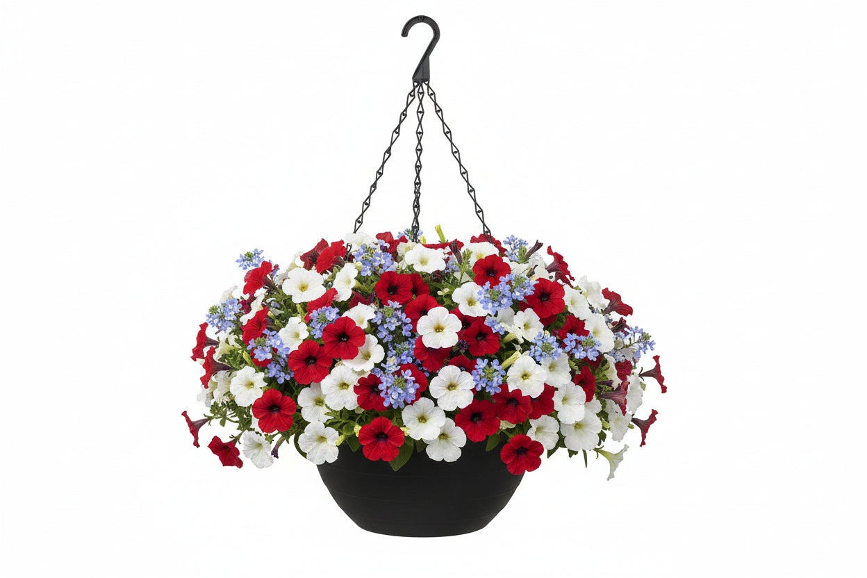 103 Heartland - 11" Hanging Basket