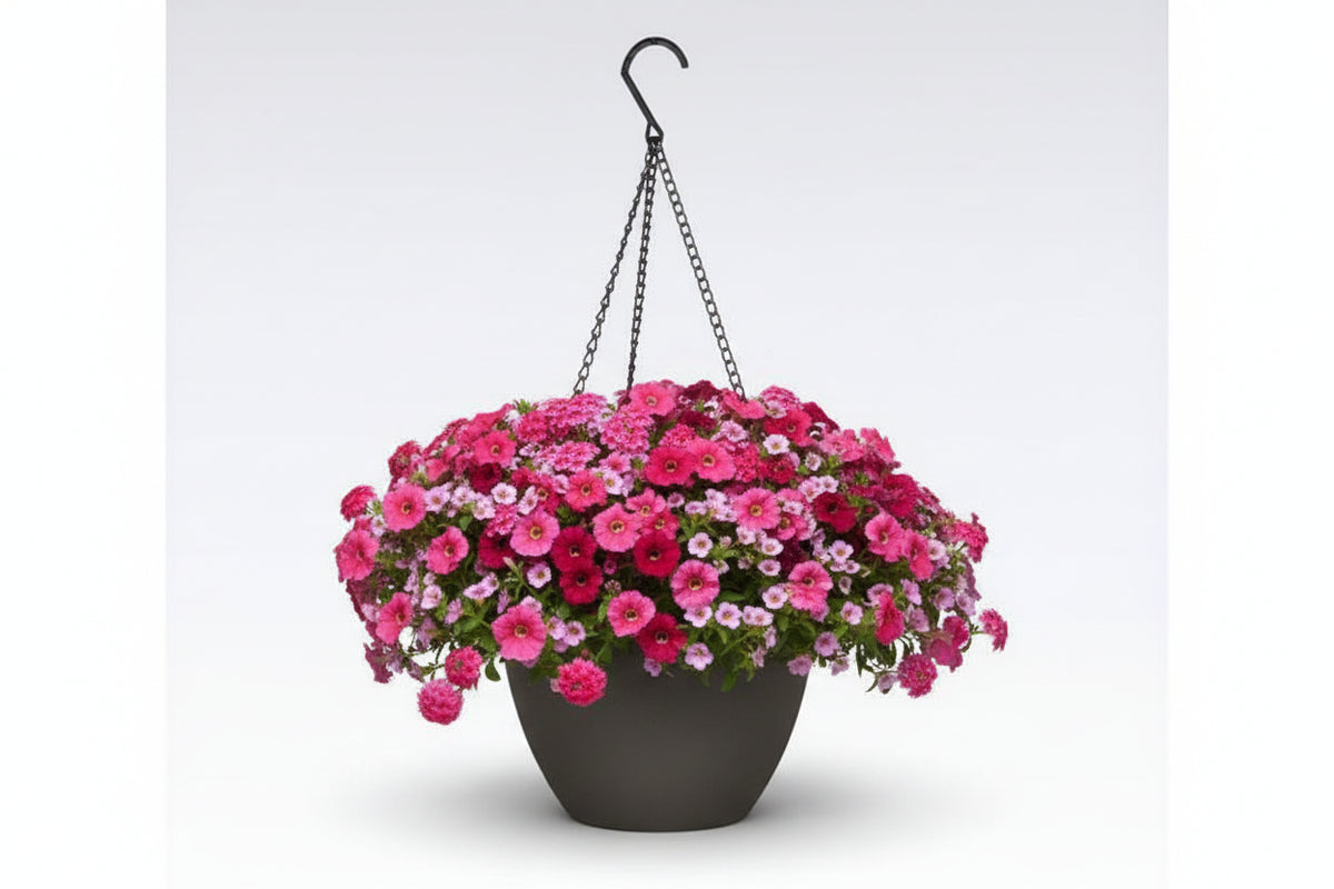 124 I Heart Pink - 11" Hanging Basket