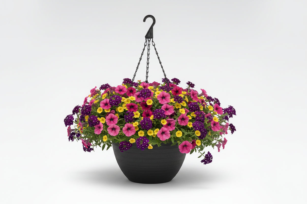 122 Bejeweled - 11" Hanging Basket