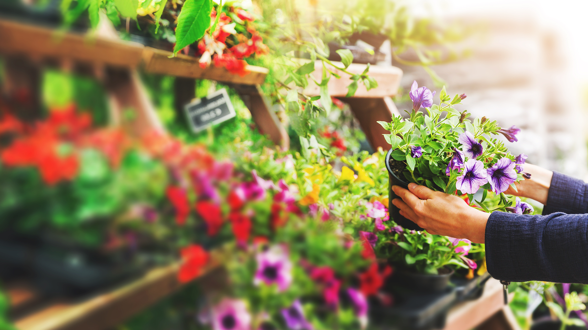 Trending Plants for 2021