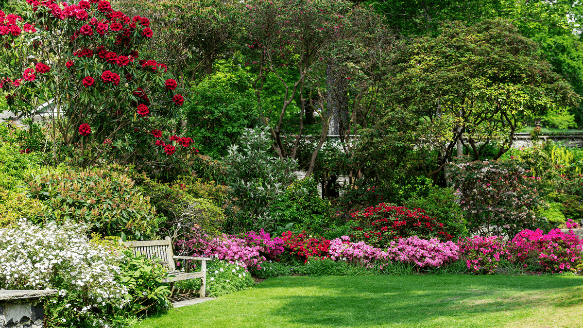 colorful landscape