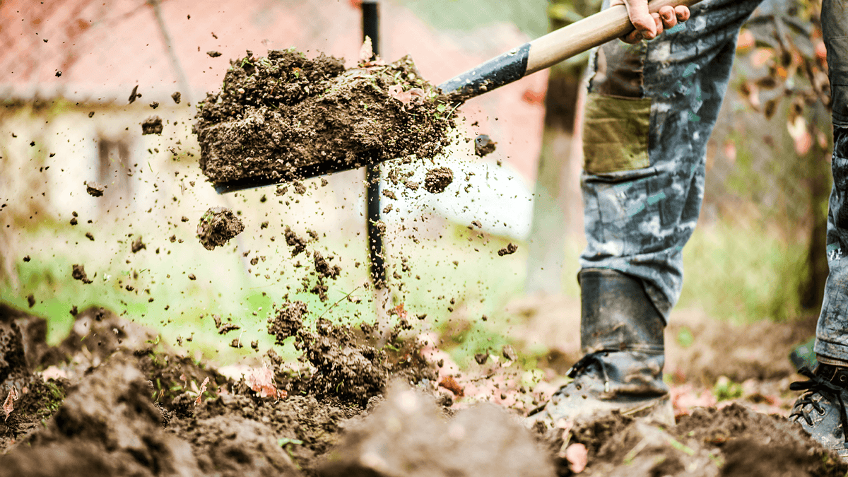 Shovelling soil