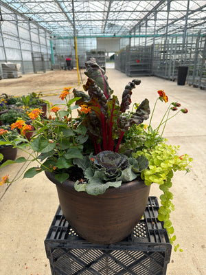 14.5" Planter Fall