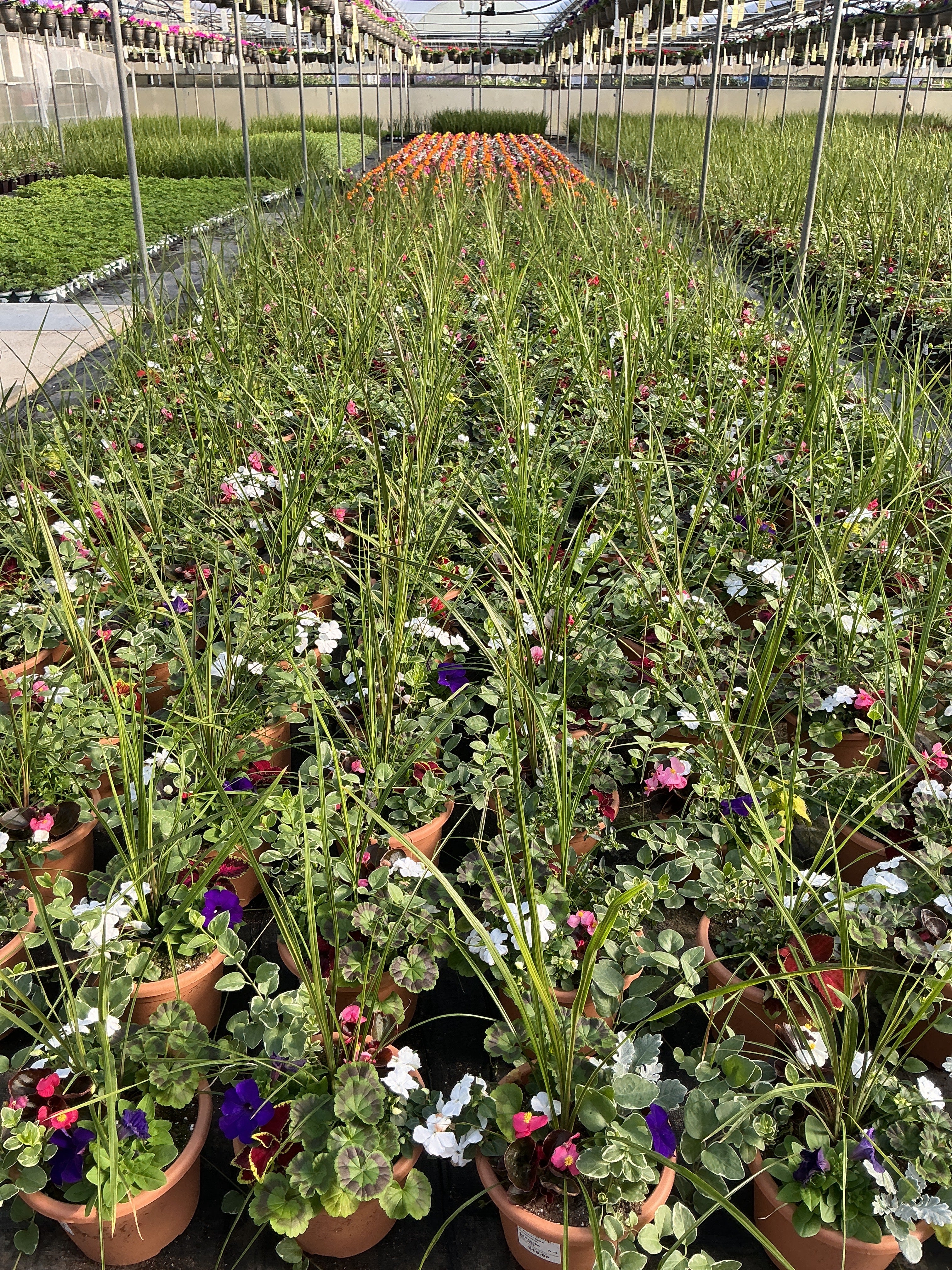 Spike Combination - 8" Planter
