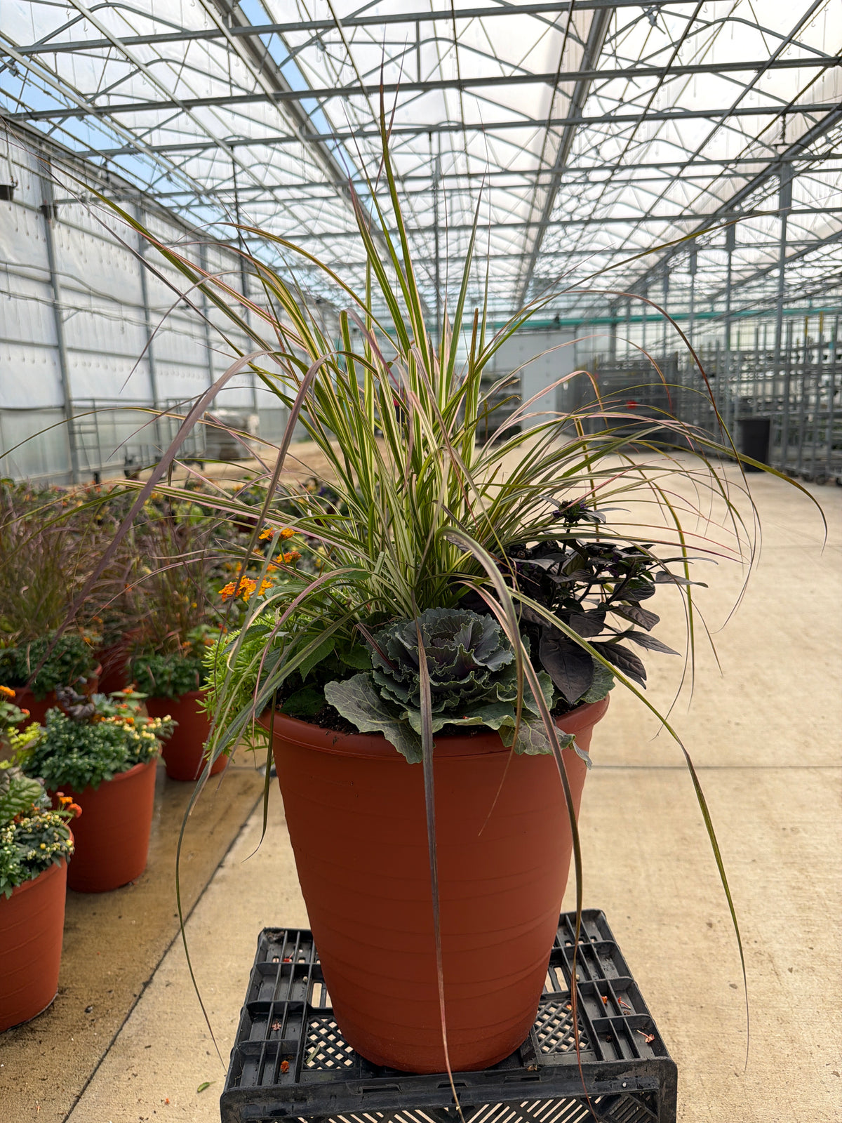 13" Planter Fall