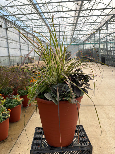 13" Planter Fall