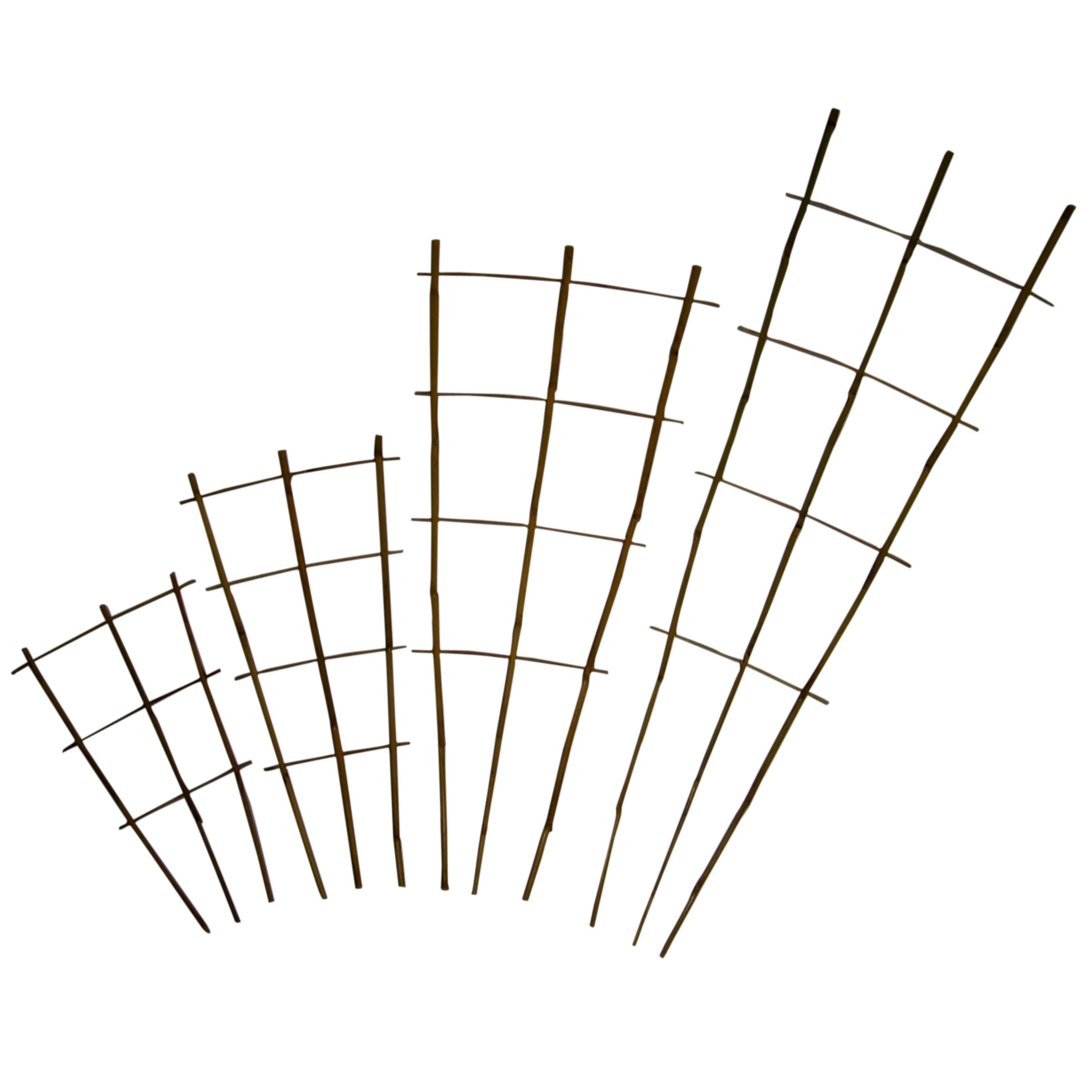 Bamboo Supply® Natural Bamboo Fan Trellis - 18in - Natural