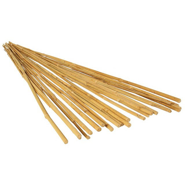 Bamboo Supply® Natural Bamboo Stake - 24in L - 5/16in diam - Natural