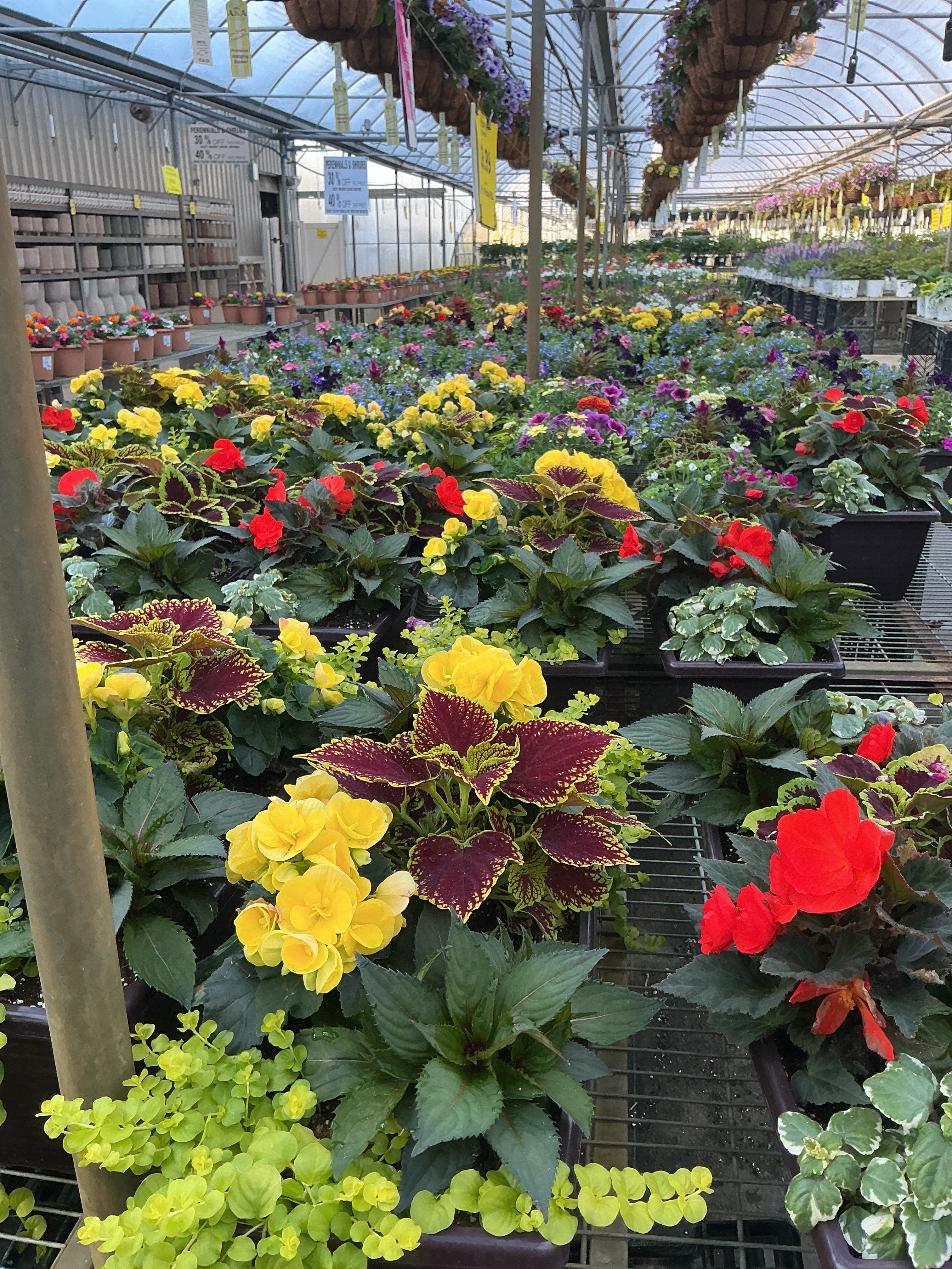 24" Planter Window Box Premium Combo