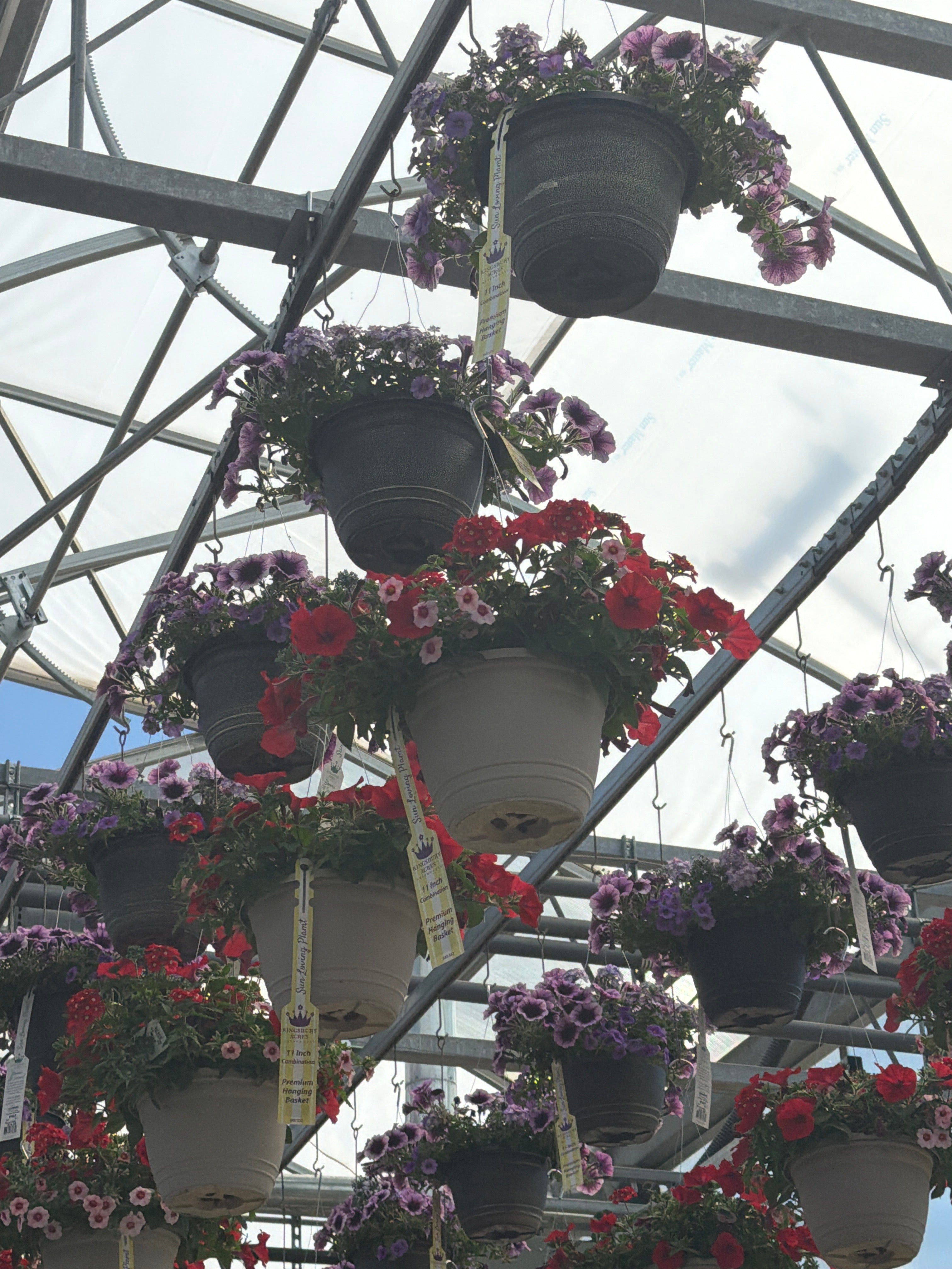 109 GLAMOUR Girl - 11" Hanging Basket