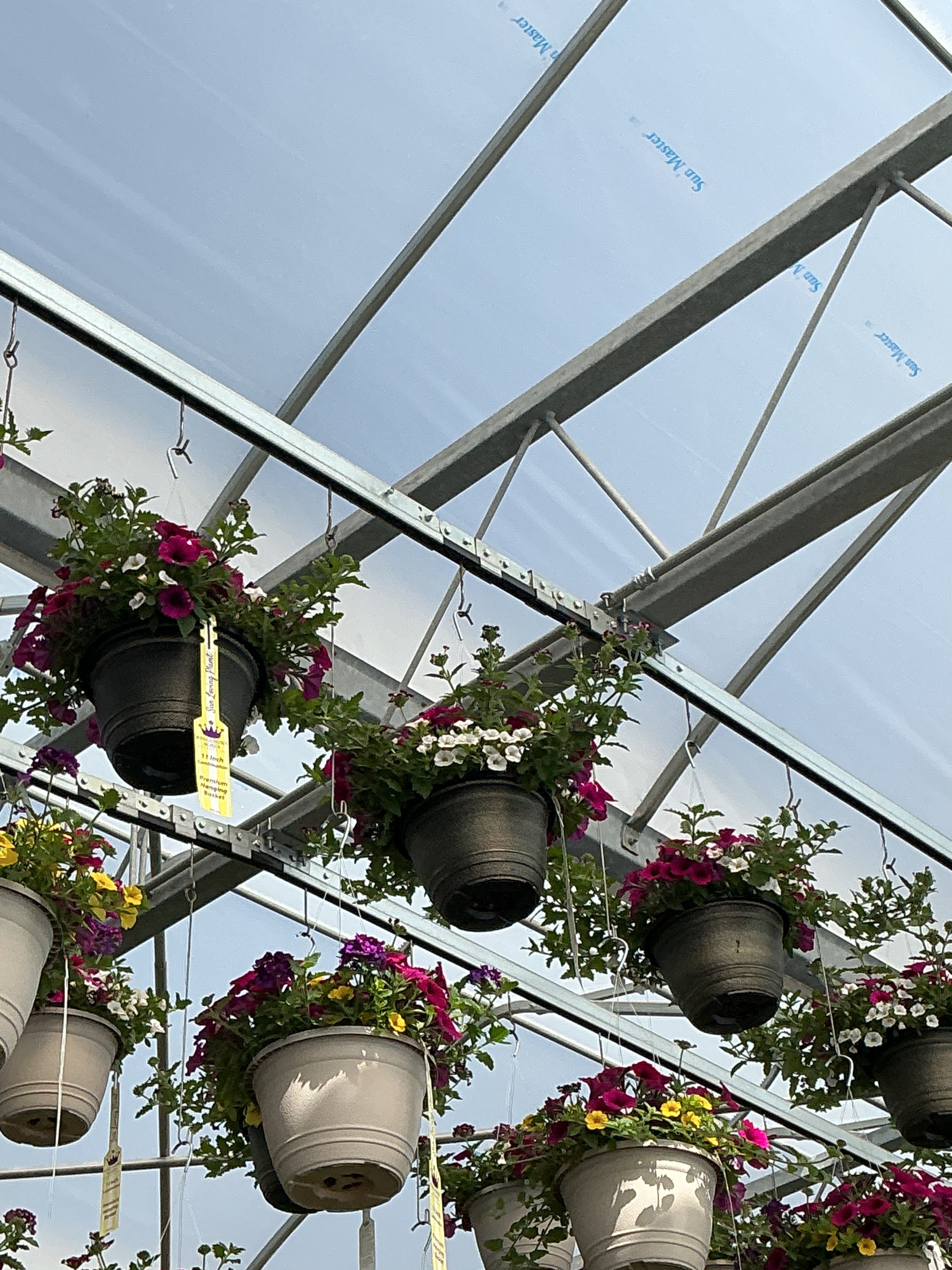 121 Berry Basket - 11" Hanging Basket