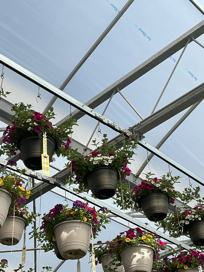 121 Berry Basket - 11" Hanging Basket