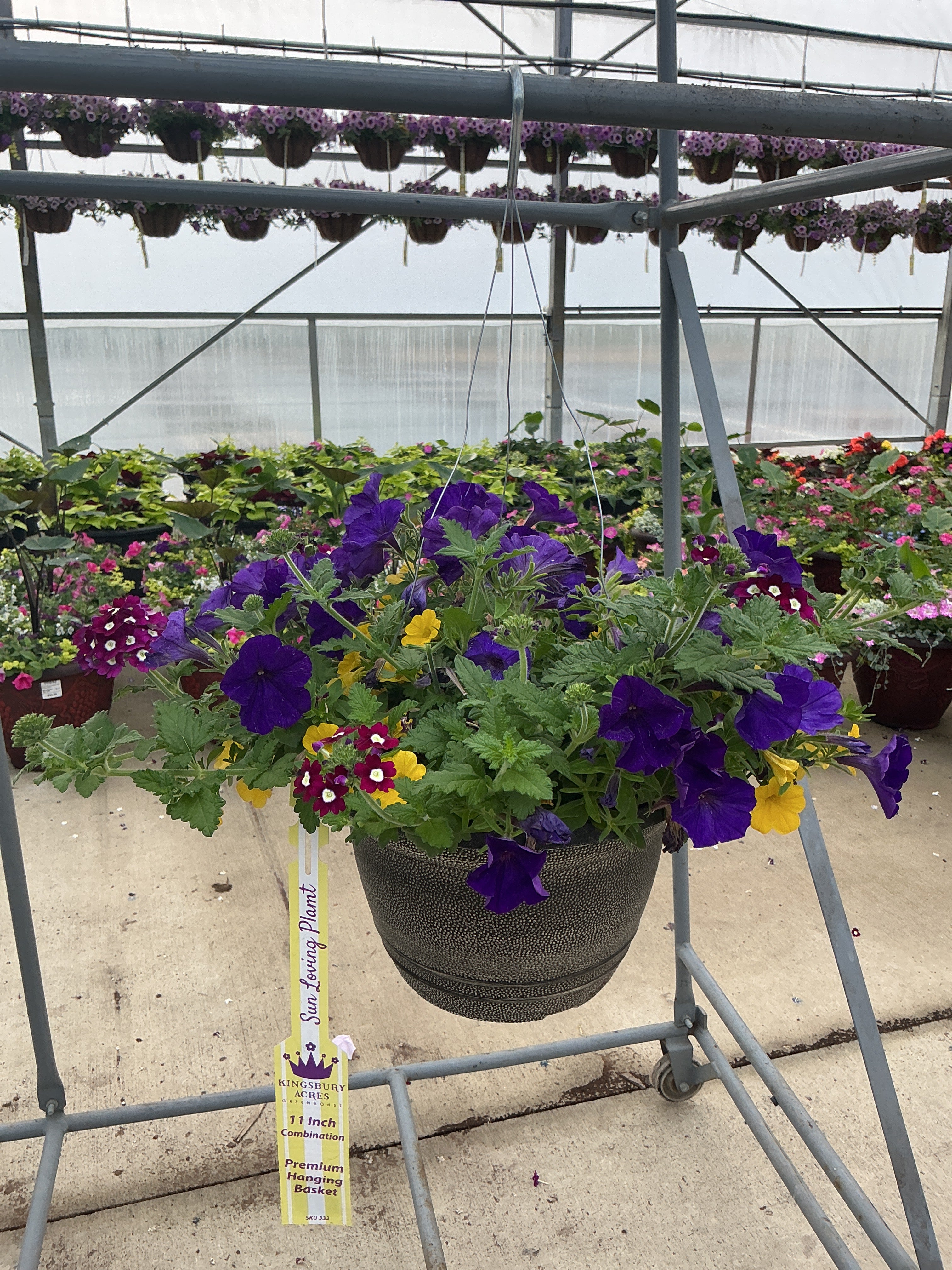 125 Over the Top - 11" Hanging Basket