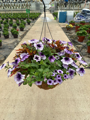 409 Down Town Greenville - 12" Coco Hanging Basket
