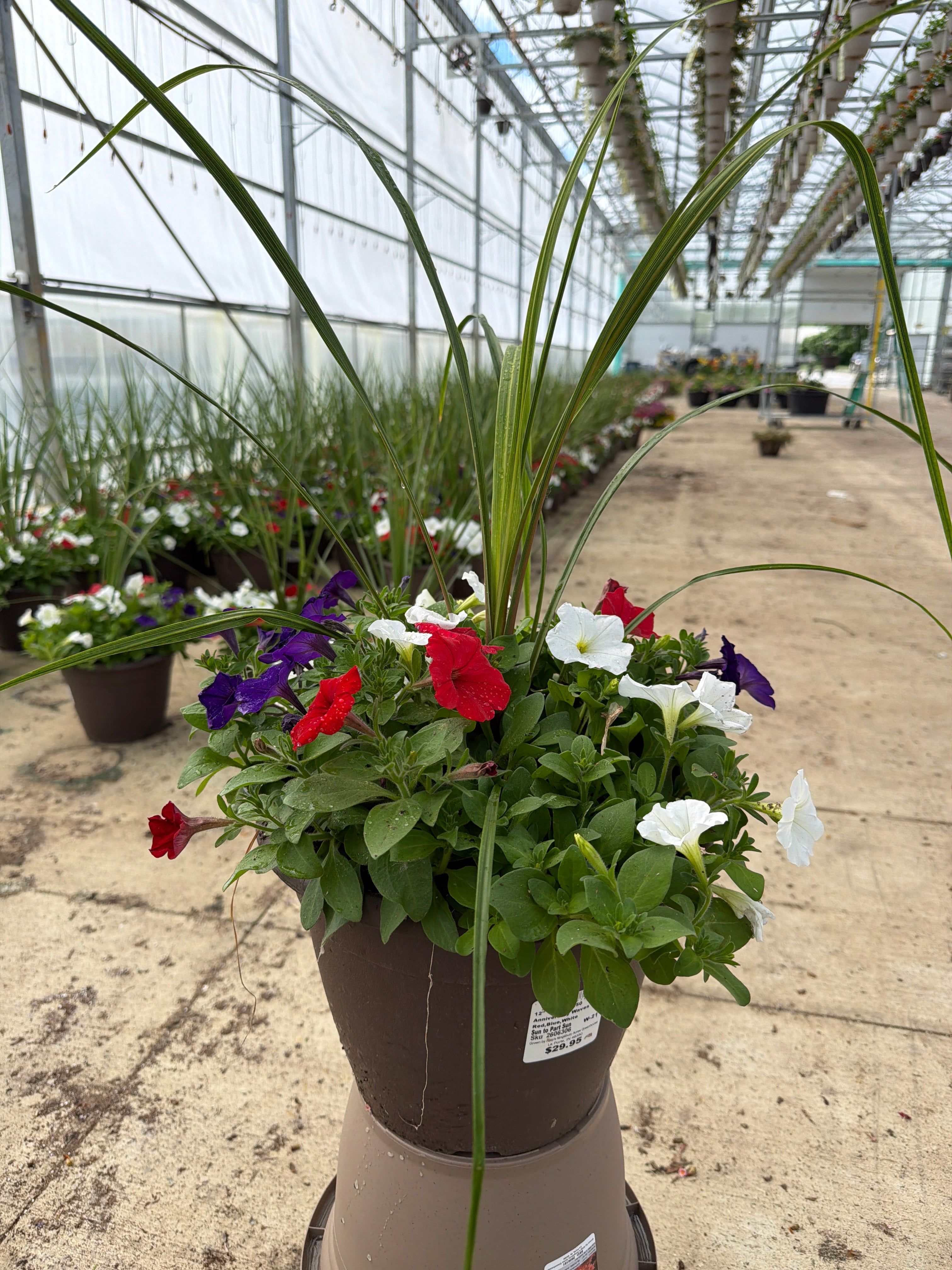 Planters Combination