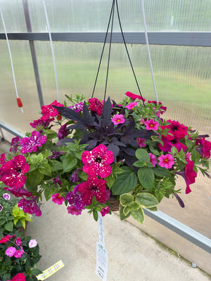 506 Bandolero - 14" Coco Hanging Basket