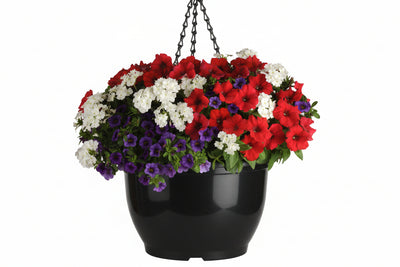 112 Liberty Bell - 11" Hanging Basket