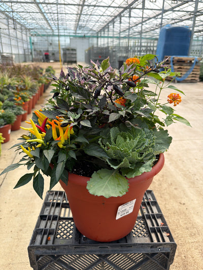 12" Planter Fall