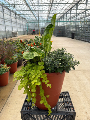 13" Planter Fall