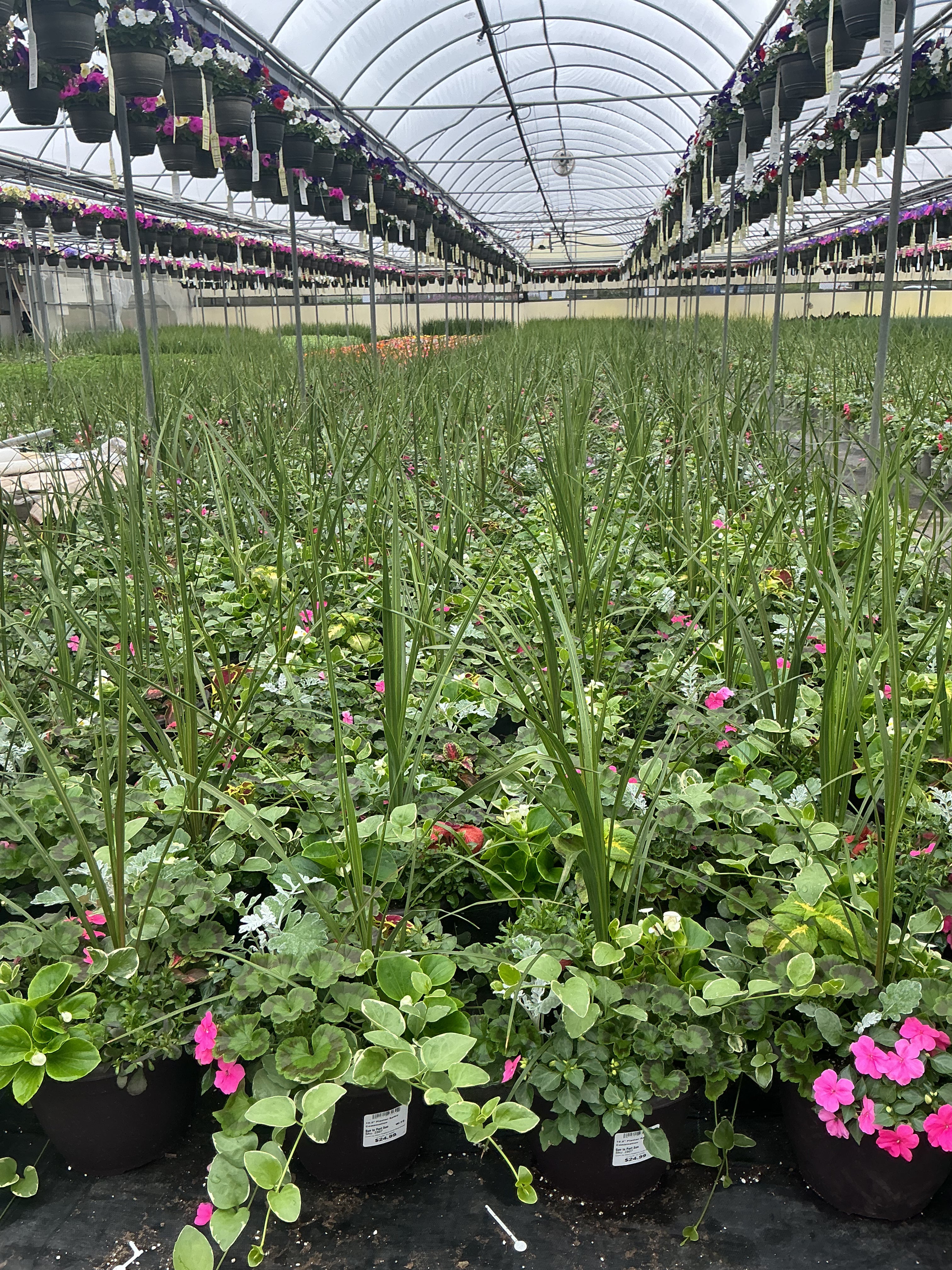 Spike Combination - 10.5" Planter