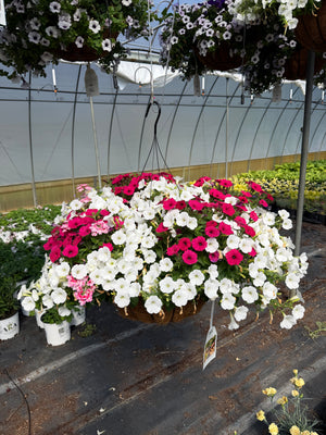 In Our Element - 18" Coco Hanging Basket