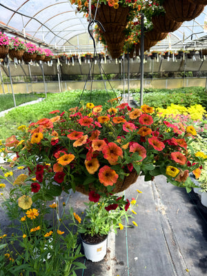 Joy - 18" Coco Hanging Basket