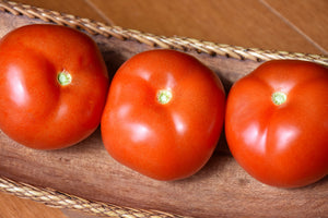 Tomato Rutgers 250 - 4" Potted Vegetable