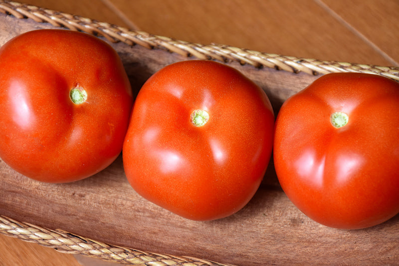 Tomato Rutgers 250 - 4" Potted Vegetable
