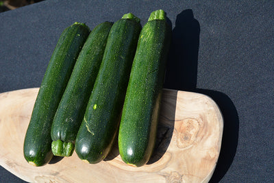 Squash Zucchini - 4 Pack Vegetable