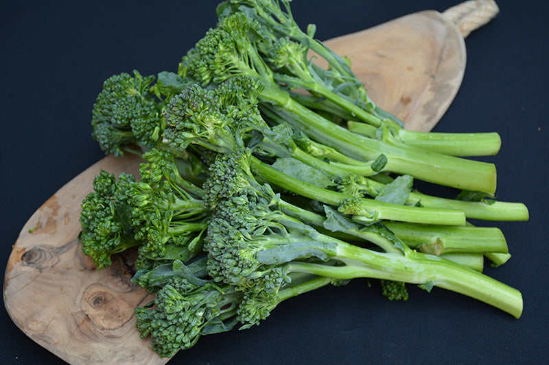 Broccolini - 4" Potted Vegetable