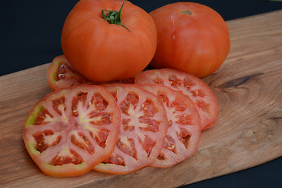 Tomato Beefmaster - 4" Potted Vegetable
