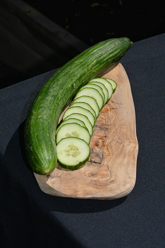 Cucumber Sweeter Yet - 4" Potted Vegetable
