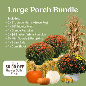 Large Fall Porch Bundle