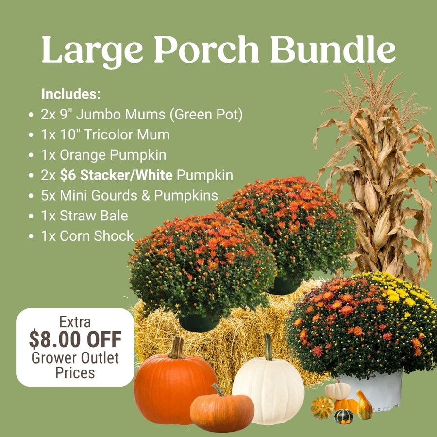 Large Fall Porch Bundle