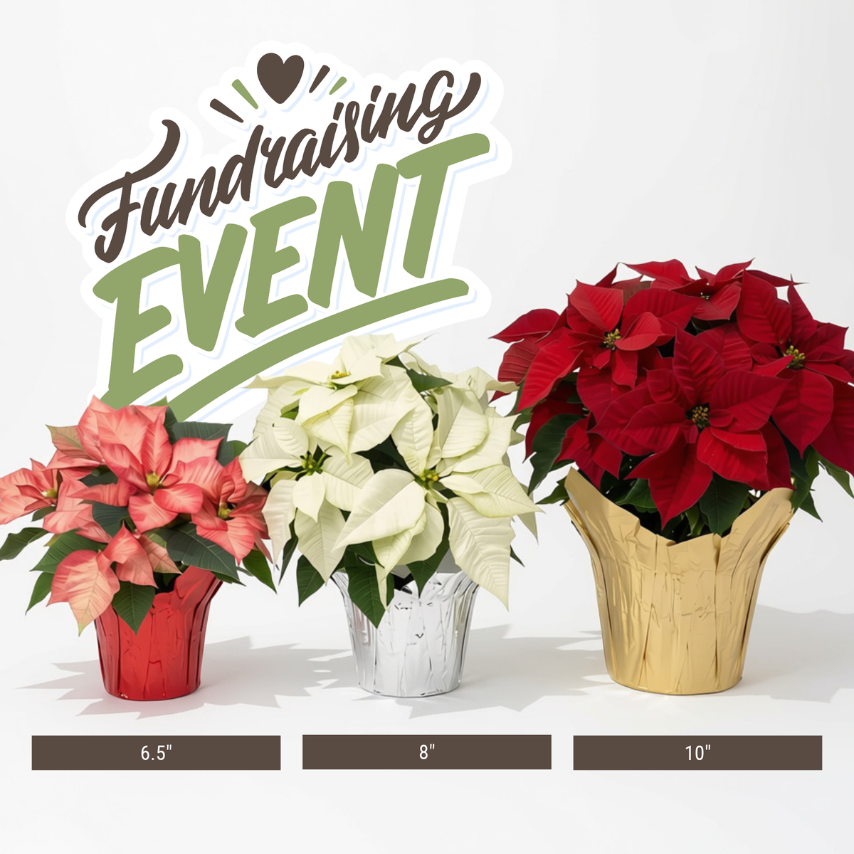Poinsettia Fundraiser - (Your Organization Here)