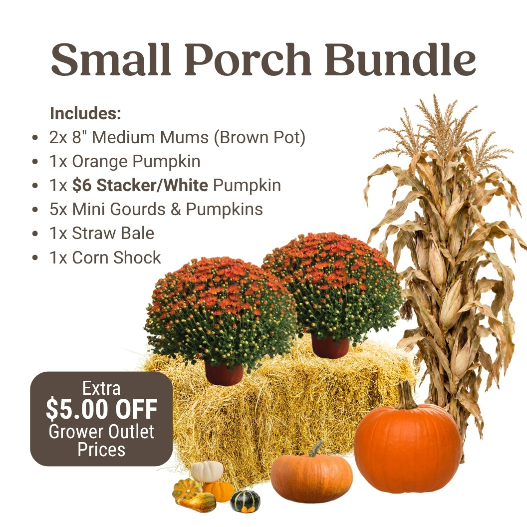 Small Fall Porch Bundle