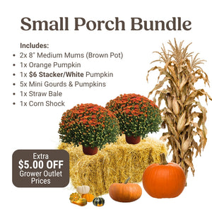 Small Fall Porch Bundle