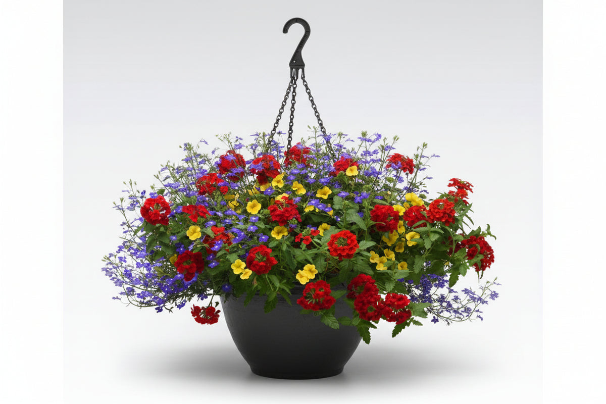 117 Color Magic - 11" Hanging Basket