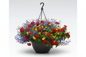 117 Color Magic - 11" Hanging Basket