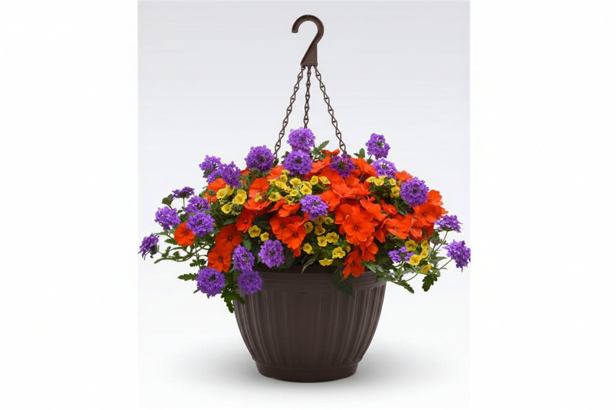 126 Peach of My Heart - 11" Hanging Basket