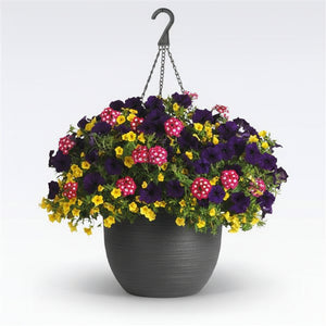 125 Over the Top - 11" Hanging Basket