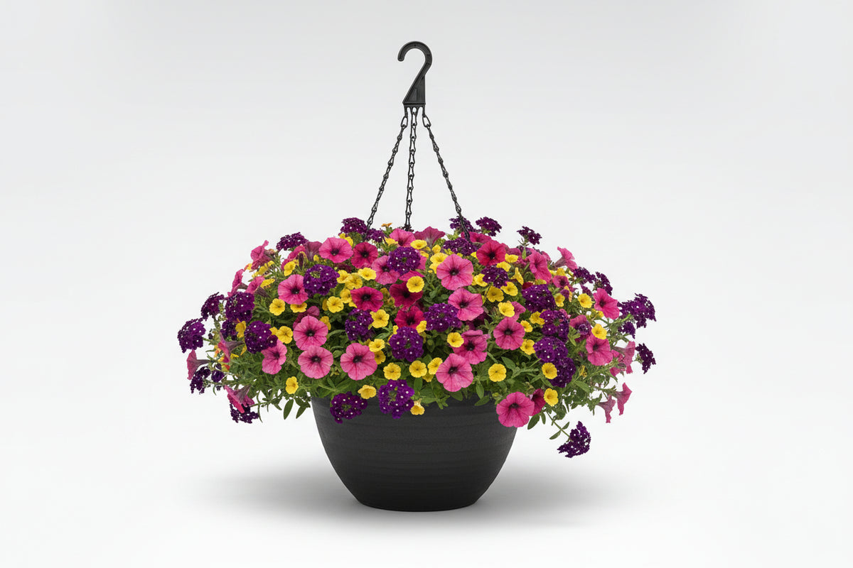 122 Bejeweled - 11" Hanging Basket