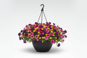 122 Bejeweled - 11" Hanging Basket