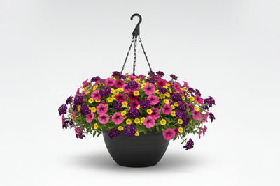 122 Bejeweled - 11" Hanging Basket